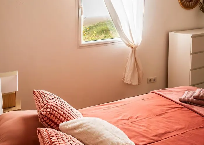 Comme Evidence Ombree d'Anjou