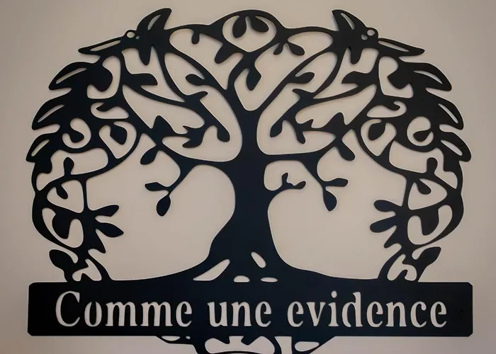 Comme Evidence